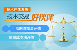 技术评估